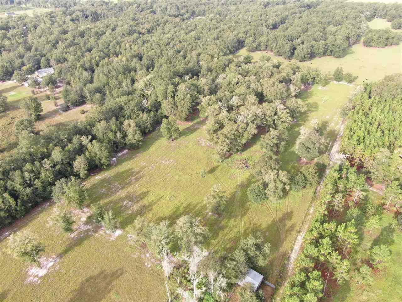 Vacant Northeast Rutherford Road Lee, FL 32059 - Photo 13 of 24 Gallery Image 13