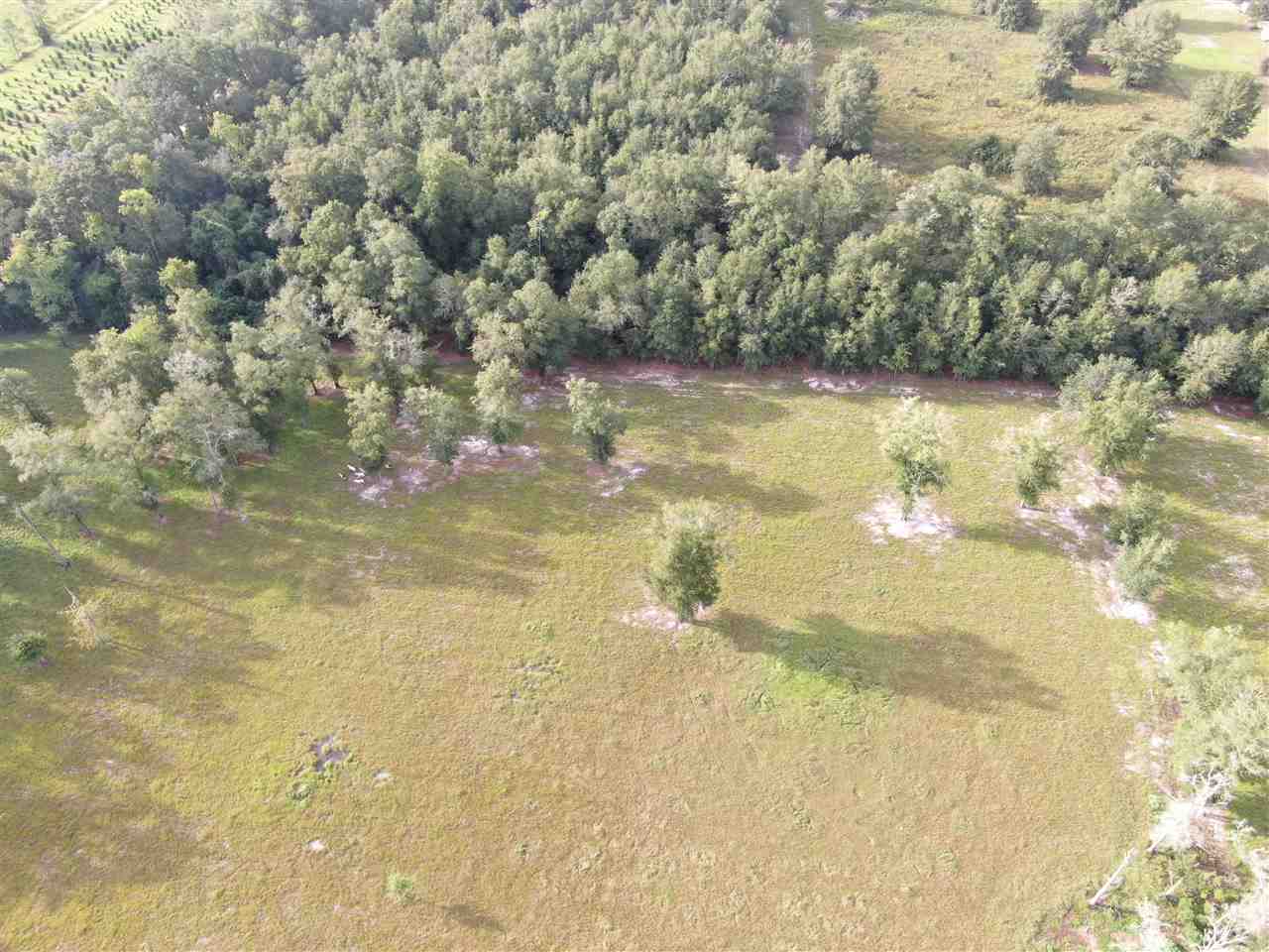 Vacant Northeast Rutherford Road Lee, FL 32059 - Photo 14 of 24 Gallery Image 14