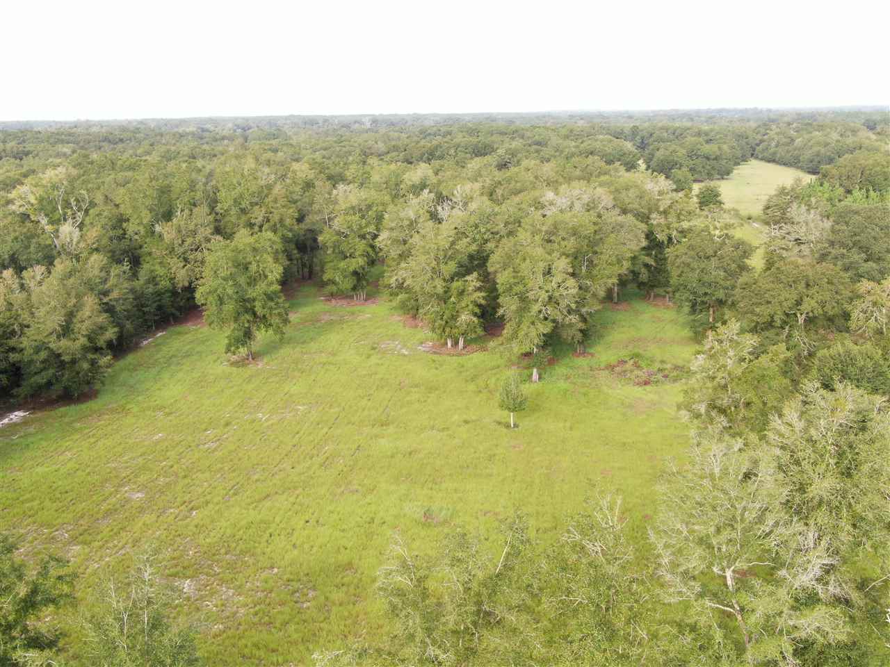 Vacant Northeast Rutherford Road Lee, FL 32059 - Photo 17 of 24 Gallery Image 17