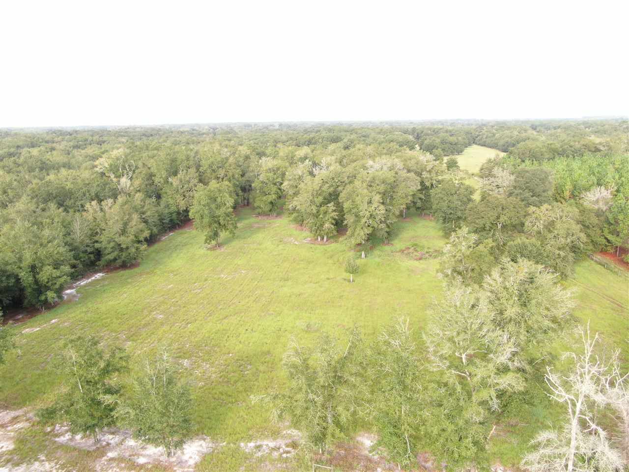 Vacant Northeast Rutherford Road Lee, FL 32059 - Photo 18 of 24 Gallery Image 18