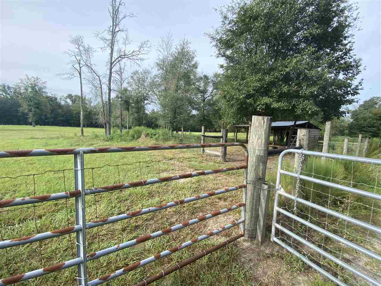 Vacant Northeast Rutherford Road Lee, FL 32059 - Photo 19 of 24 Gallery Image 19