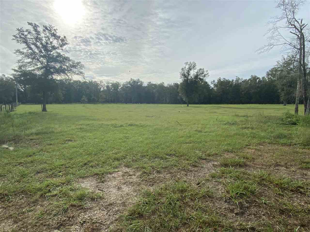 Vacant Northeast Rutherford Road Lee, FL 32059 - Photo 20 of 24 Gallery Image 20