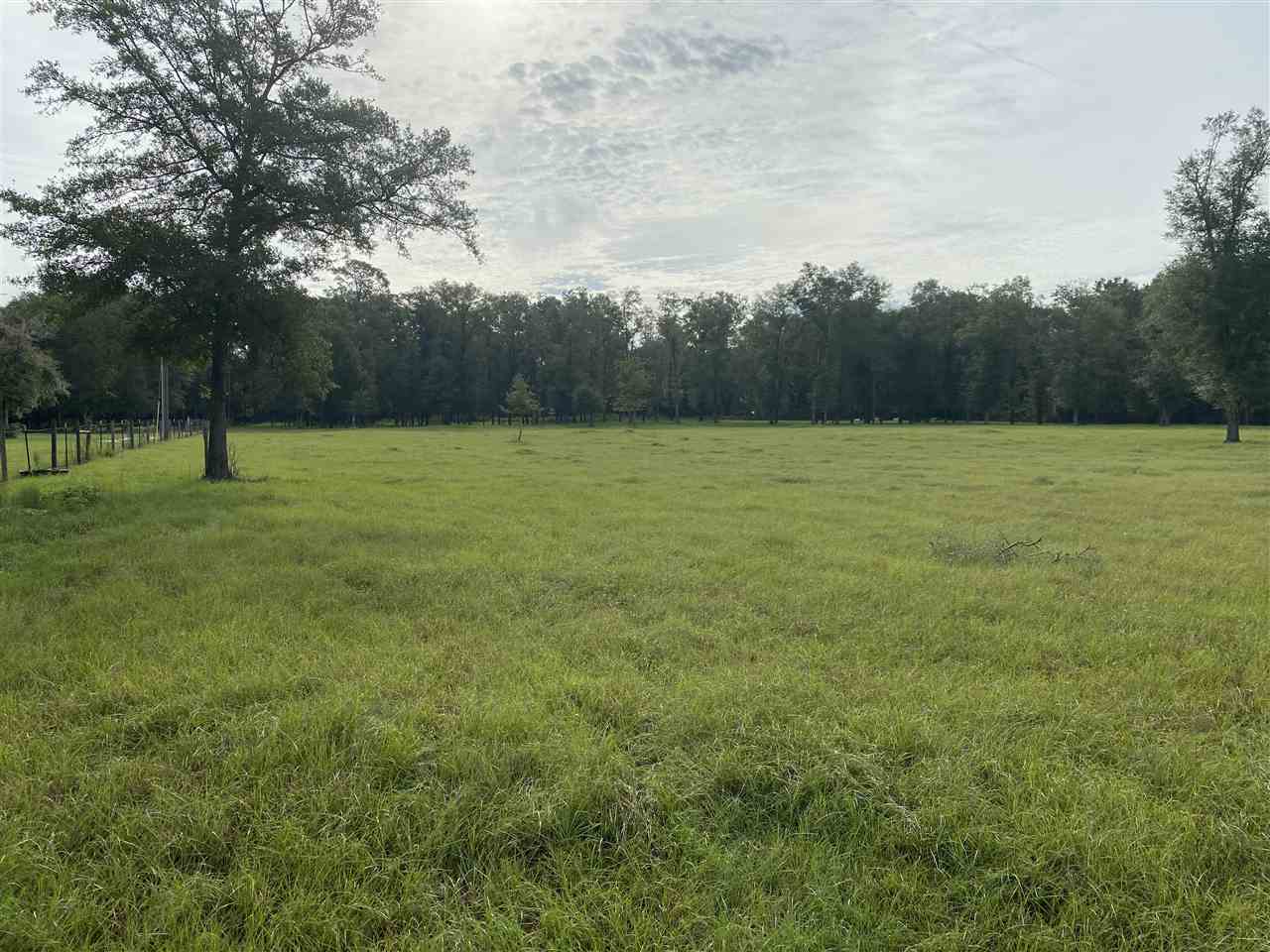 Vacant Northeast Rutherford Road Lee, FL 32059 - Photo 21 of 24 Gallery Image 21