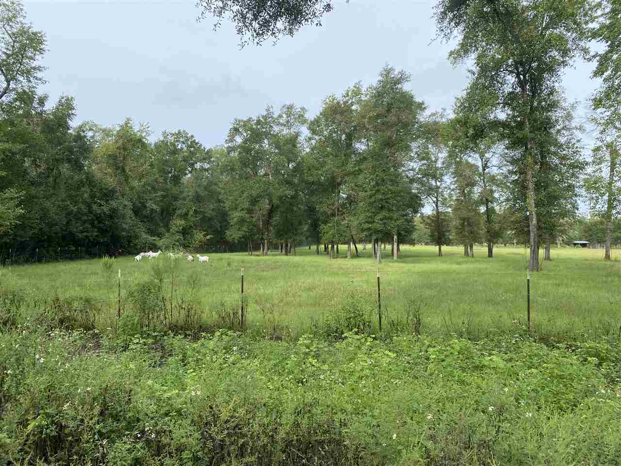 Vacant Northeast Rutherford Road Lee, FL 32059 - Photo 22 of 24 Gallery Image 22