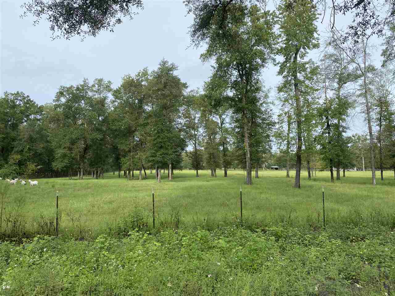 Vacant Northeast Rutherford Road Lee, FL 32059 - Photo 23 of 24 Gallery Image 23