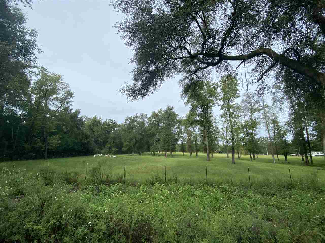 Vacant Northeast Rutherford Road Lee, FL 32059 - Photo 24 of 24 Gallery Image 24