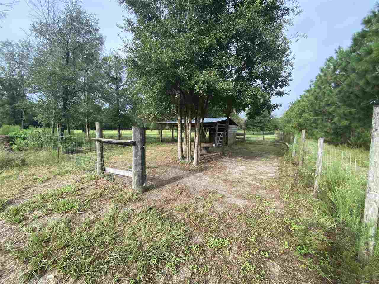 Vacant Northeast Rutherford Road Lee, FL 32059 - Photo 8 of 24 Gallery Image 8