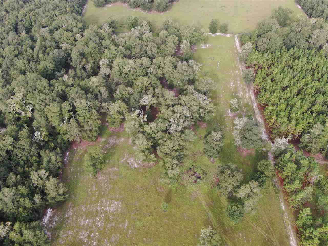 Vacant Northeast Rutherford Road Lee, FL 32059 - Photo 9 of 24 Gallery Image 9