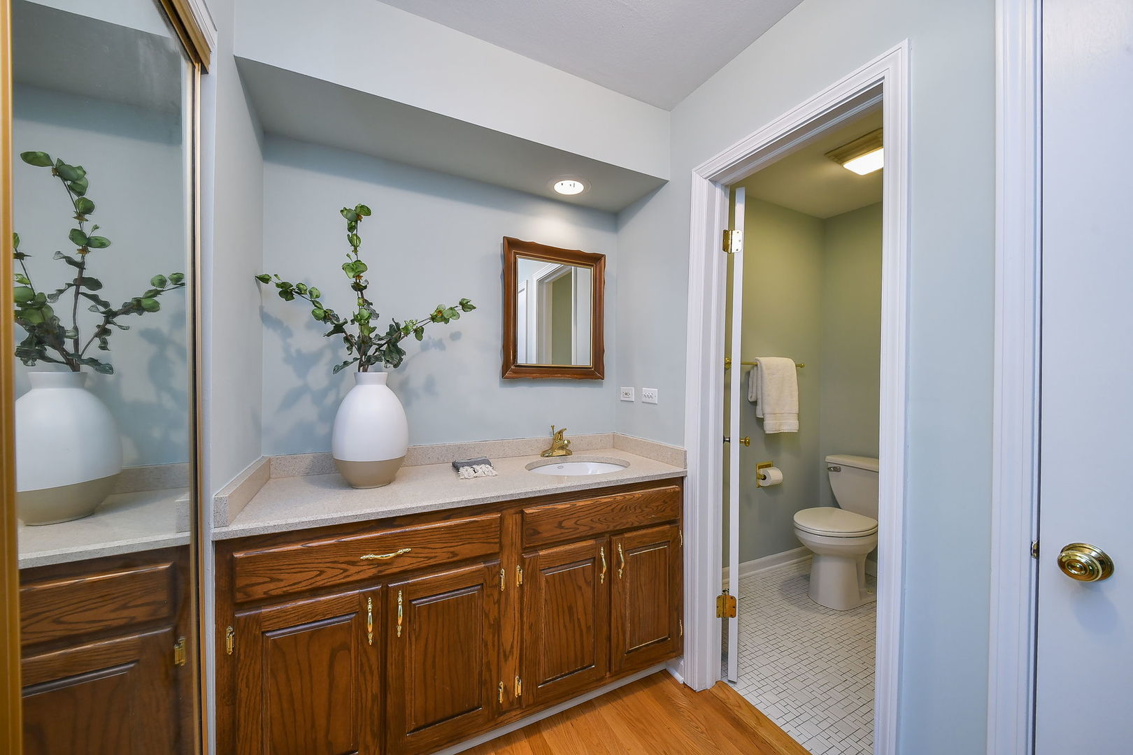 541 Williamsburg Road Glen Ellyn, IL 60137 - Photo 23 of 45 a bathroom with a granite countertop sink and a mirror