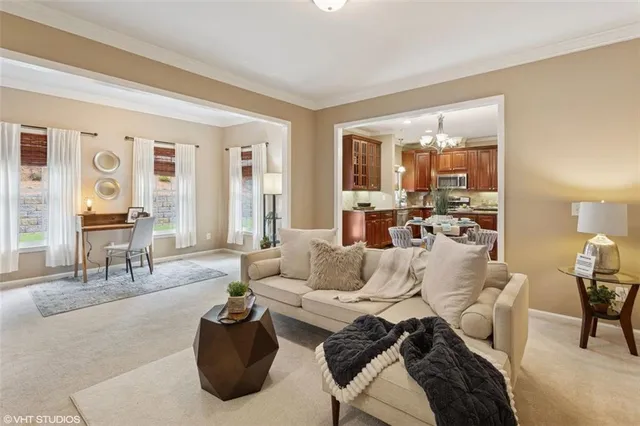 a living room with furniture or couch and a potted plant
