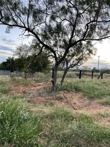 a view of a tree in a yard