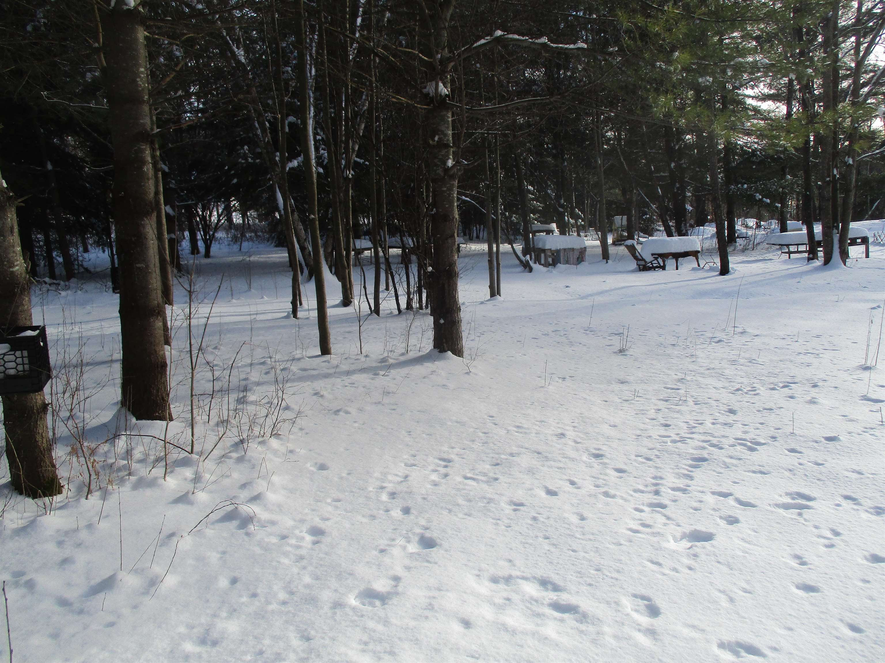 3349 Hebard Hill Road Randolph, VT 05061 - Photo 10 of 12 Gallery Image 10