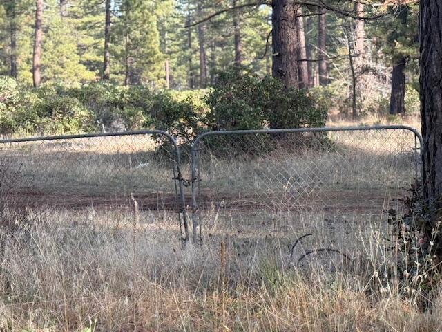 20612 Burney Court Burney, CA 96013 - Photo 34 of 40 IMG_2202