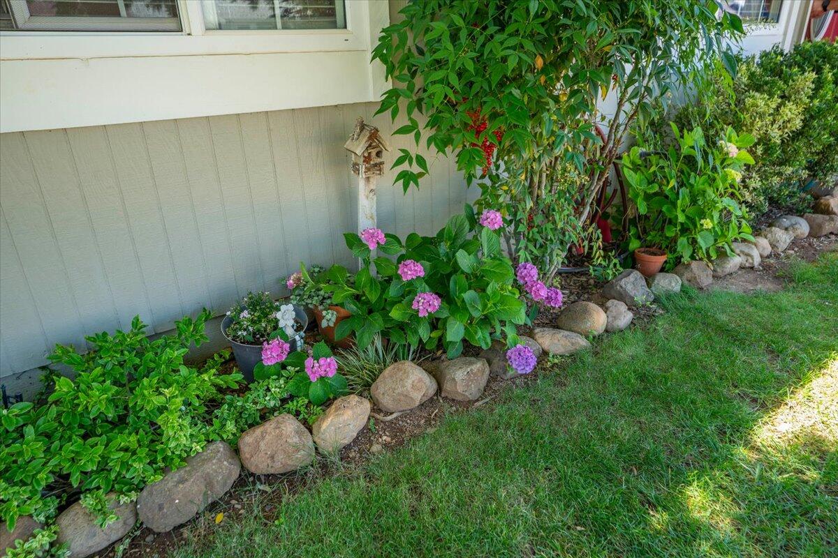 1980 Spruce Circle Anderson, CA 96007 - Photo 42 of 44 55-1980 Spruce St - E-40