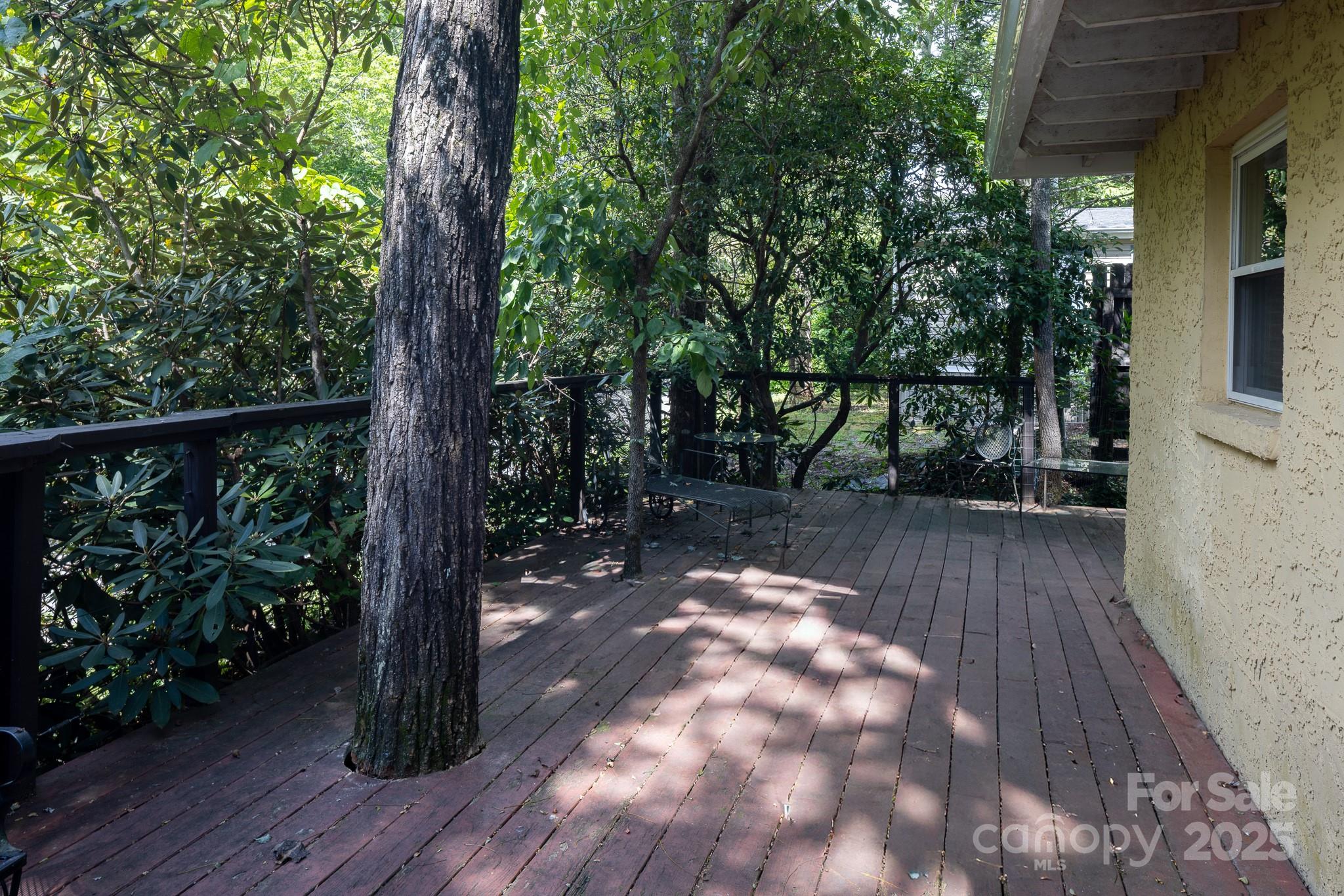 26 Kitazuma Road Black Mountain, NC 28711 - Photo 32 of 33