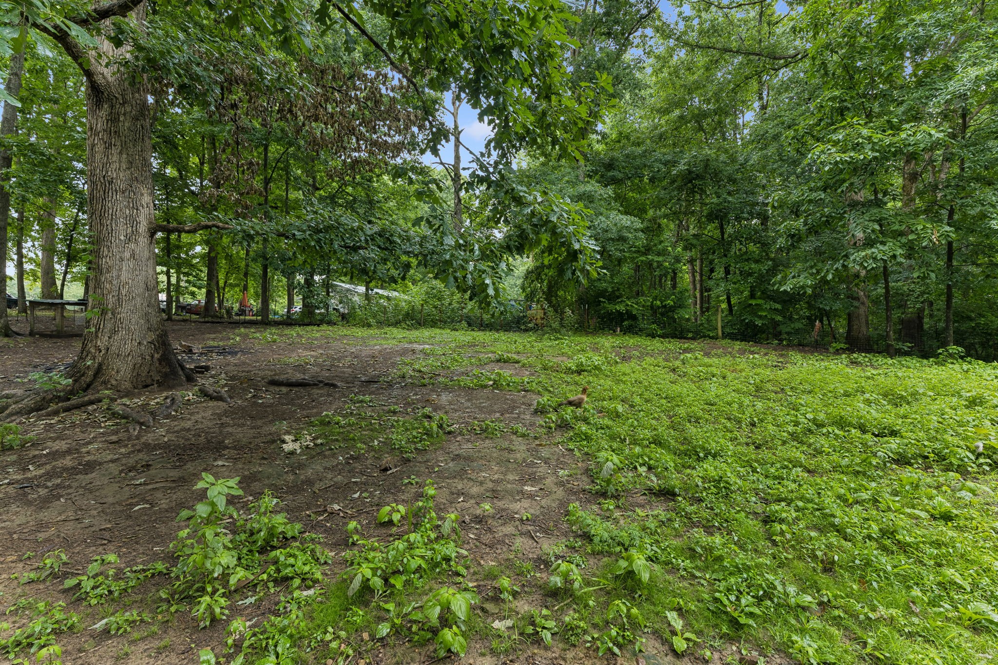 5849 A Bending Chestnut Road Franklin, TN 37064 - Photo 30 of 30