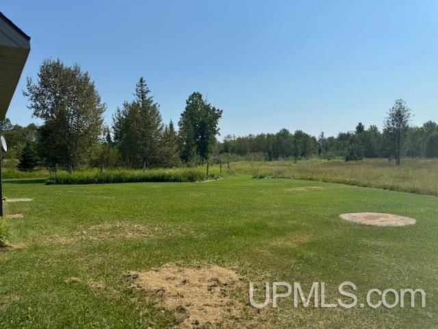 14320 Evergreen Road Rock, MI 49880 - Photo 20 of 21