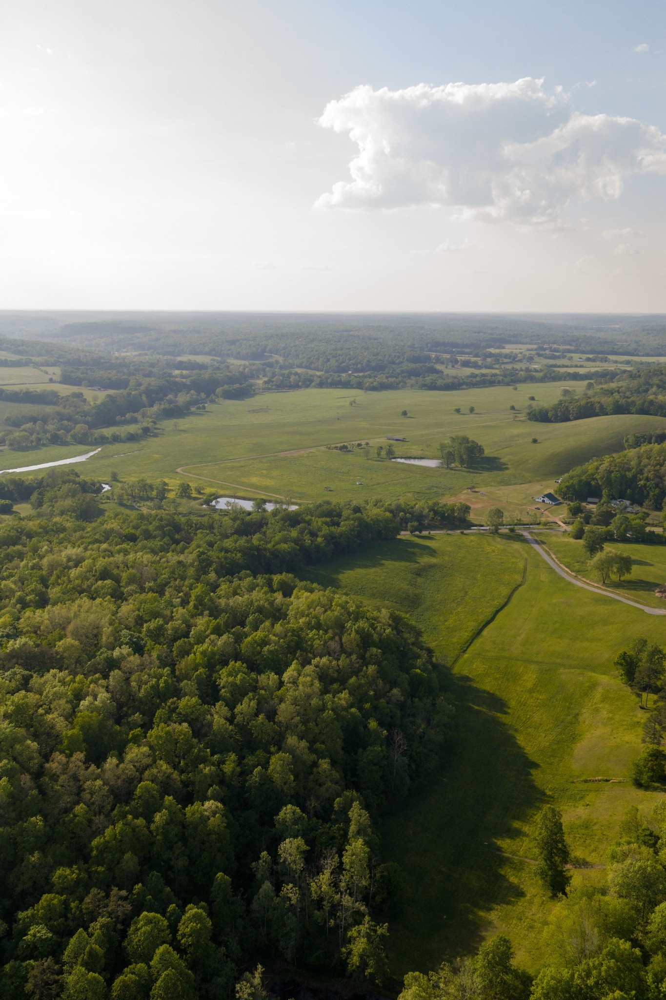 1 Pinewood Road Nunnelly, TN 37137 - Photo 8 of 12 Gallery Image 8