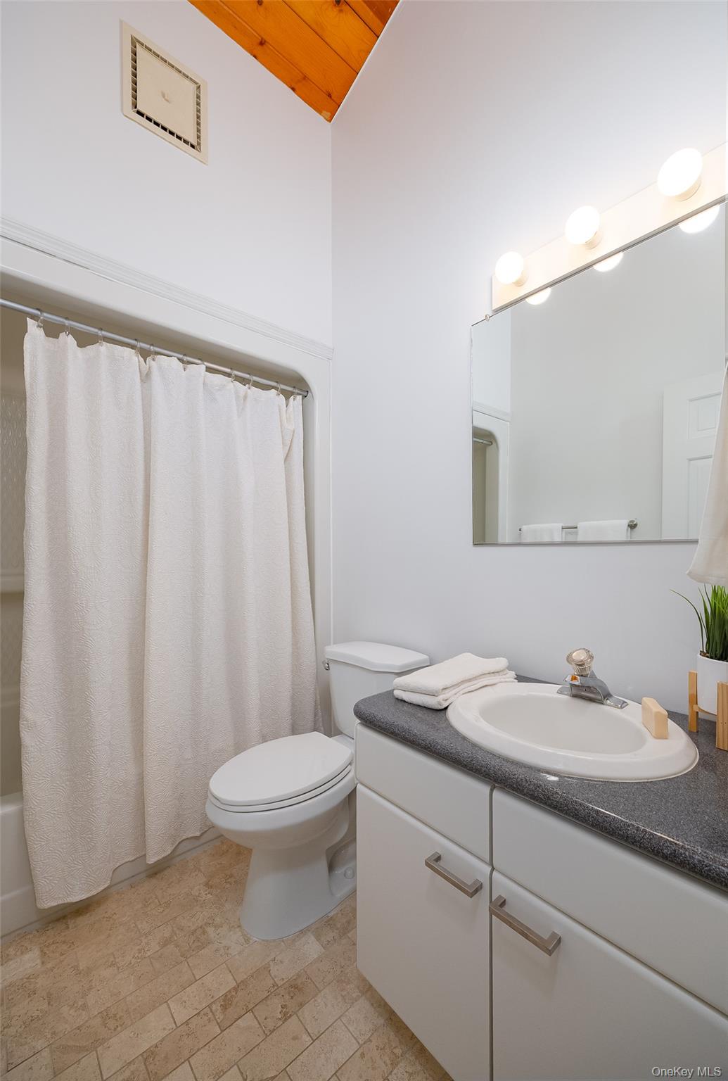 33 Willow Brook Ridge Clinton Corners, NY 12514 - Photo 41 of 50 a bathroom with a sink a toilet and a mirror