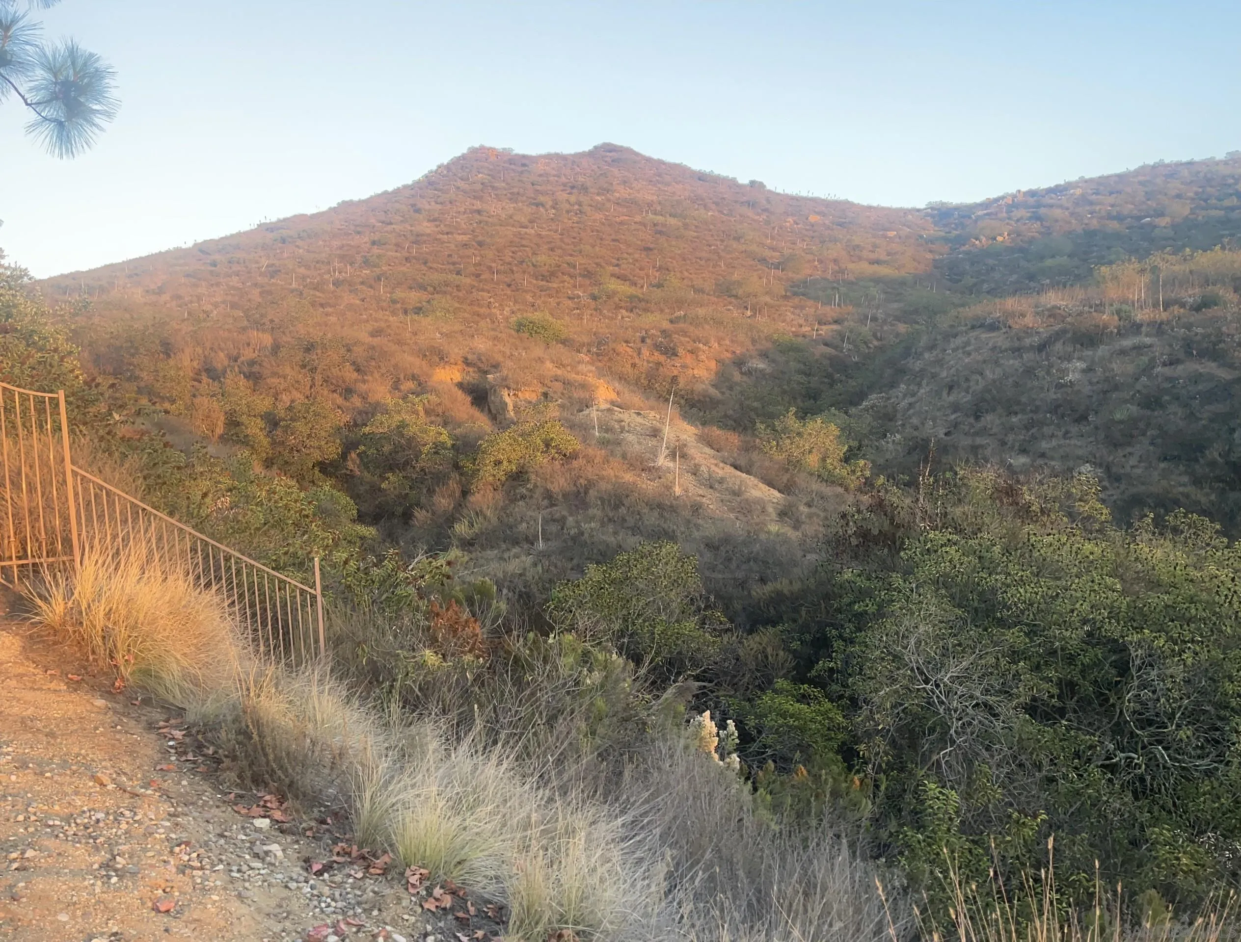 a view of a dry yard with mountains in the background