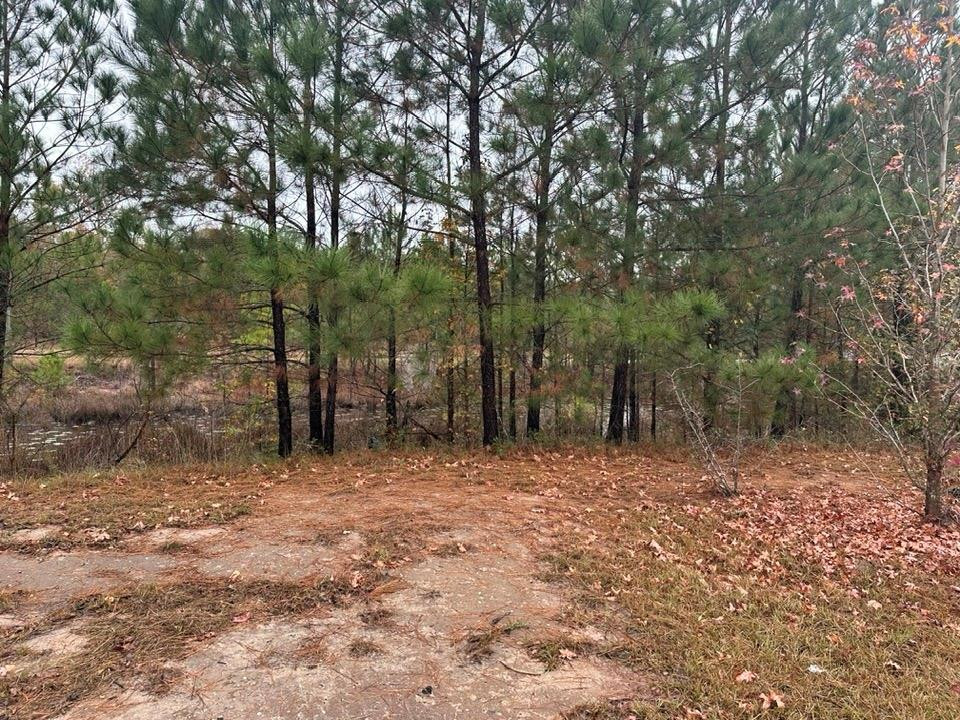73 Tondee Way Midway, GA 31320 - Photo 20 of 21