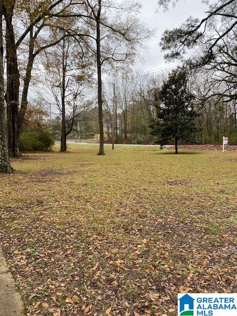 811 Parsons Road Bessemer, AL 35022 - Photo 2 of 4