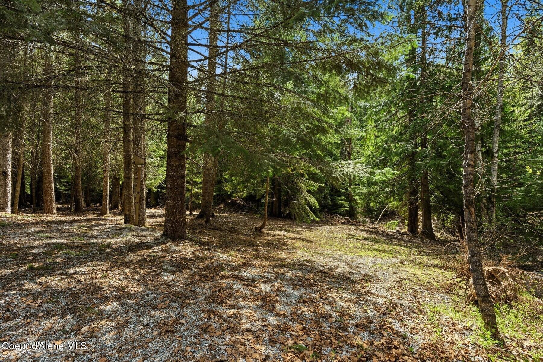 354 Fall Creek Road Naples, ID 83847 - Photo 27 of 37 Wooded and open