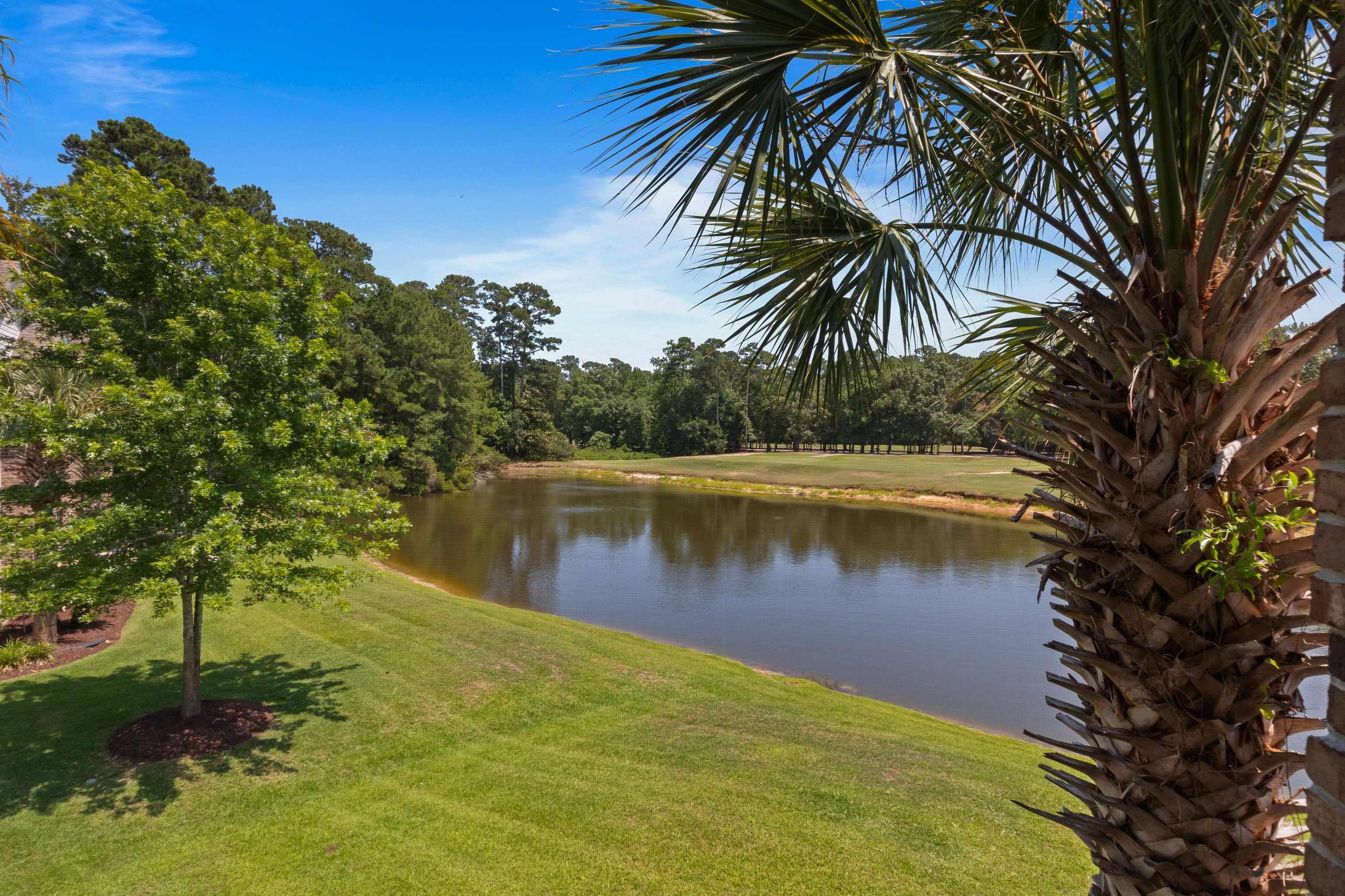4649 Fringetree Drive, Unit H Murrells Inlet, SC 29576 - Photo 19 of 30