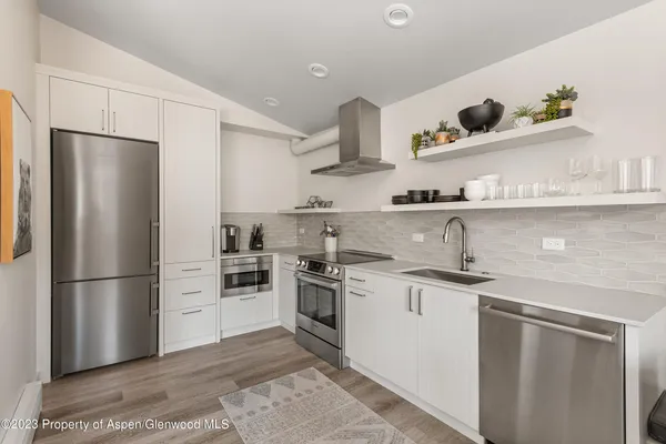 $12,500 | 220 West Main Street, Unit 210/P1/B6, Aspen, CO 81611