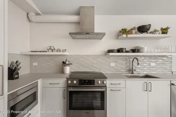 $12,500 | 220 West Main Street, Unit 210/P1/B6, Aspen, CO 81611