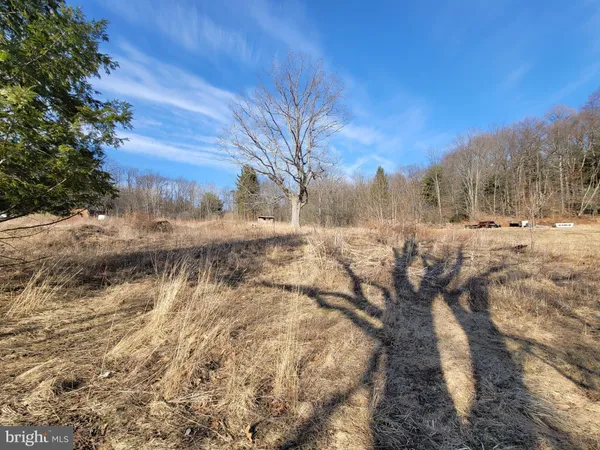 a view of dirt yard with a large tree