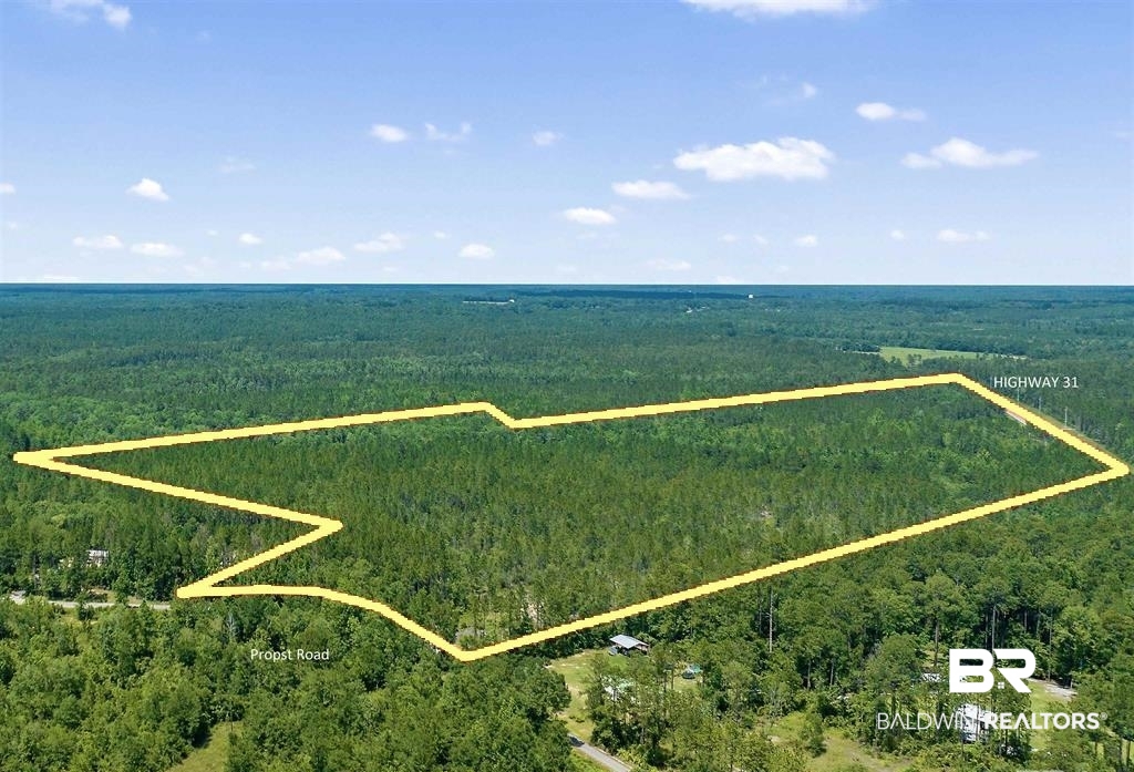 51290 Propst Road Bay Minette, AL 36507 - Photo 1 of 5 Aerial overview of property's location with a forest and property parcel outlined