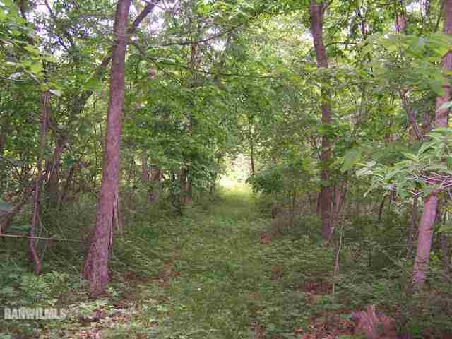 5381 East Bethel Road Stockton, IL 61085 - Photo 7 of 12 Gallery Image 7