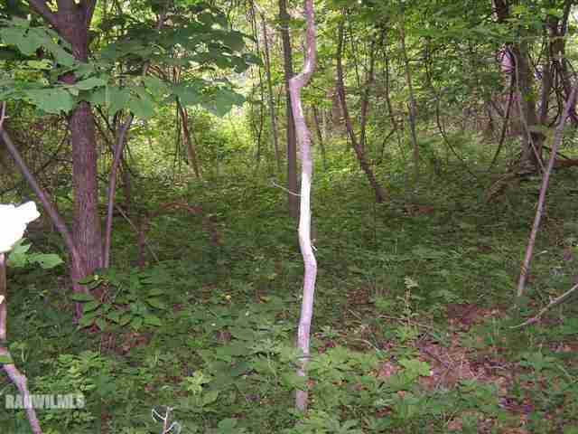 5381 East Bethel Road Stockton, IL 61085 - Photo 8 of 12 Gallery Image 8