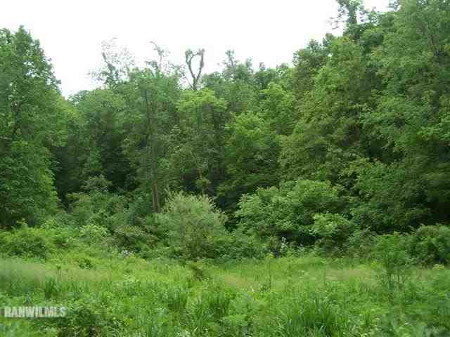 5381 East Bethel Road Stockton, IL 61085 - Photo 10 of 12 Gallery Image 10