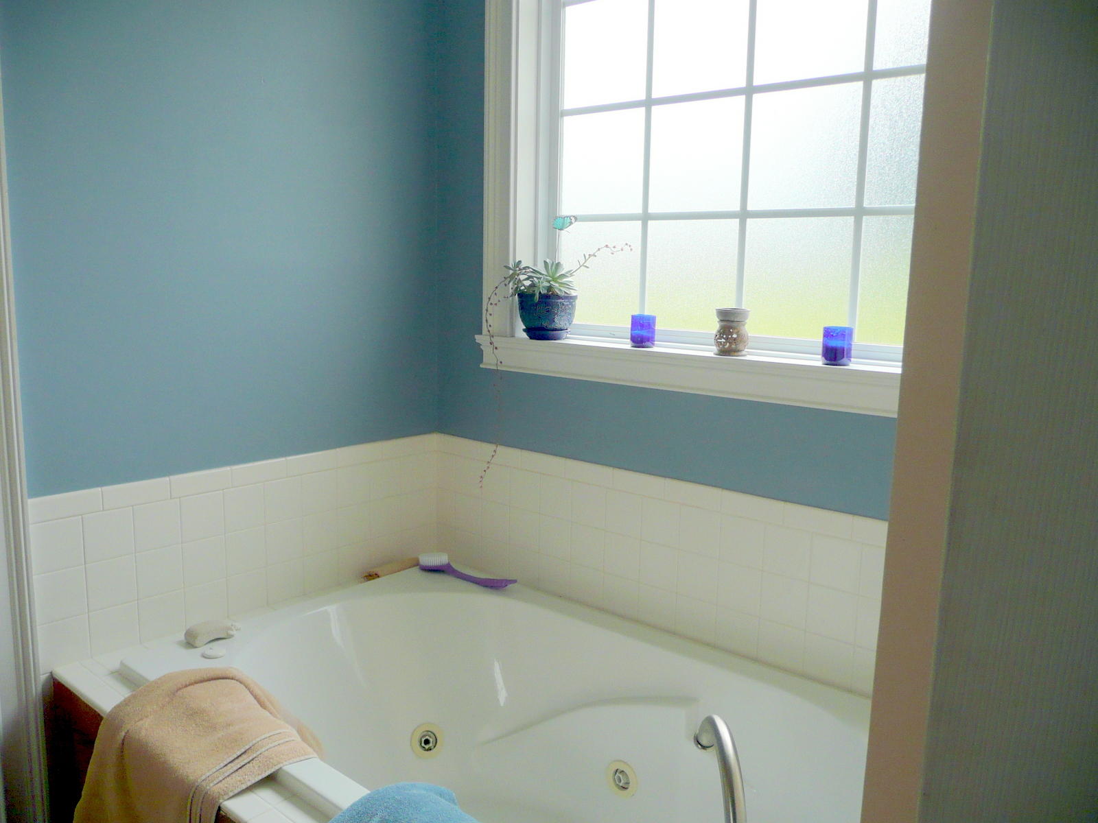 691 Oak Grove Road Madisonville, TN 37354 - Photo 21 of 31 Jetted Tub & Separate Shower