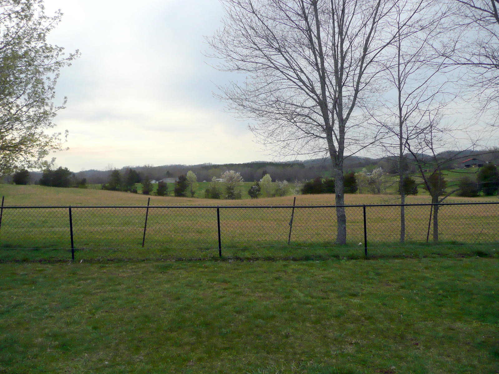 691 Oak Grove Road Madisonville, TN 37354 - Photo 9 of 31 Vinyl Coated Chain Link Fence