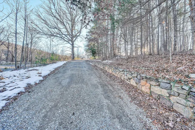 a view of a backyard with large trees