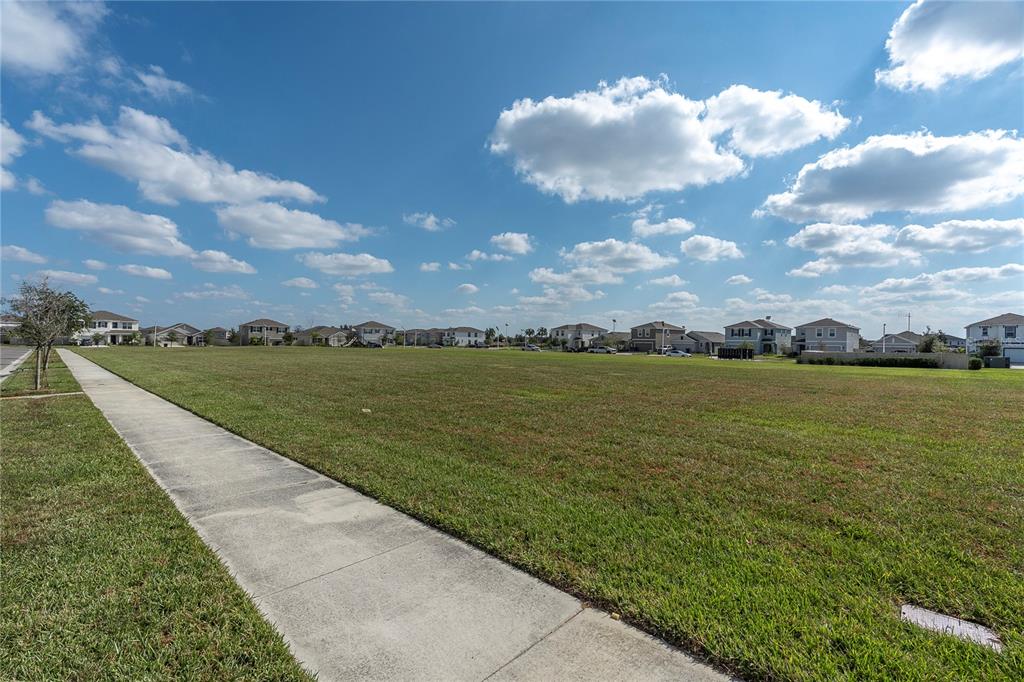 31130 Penny Surf Loop Wesley Chapel, FL 33545 - Photo 29 of 42 a view of a lake with a big yard