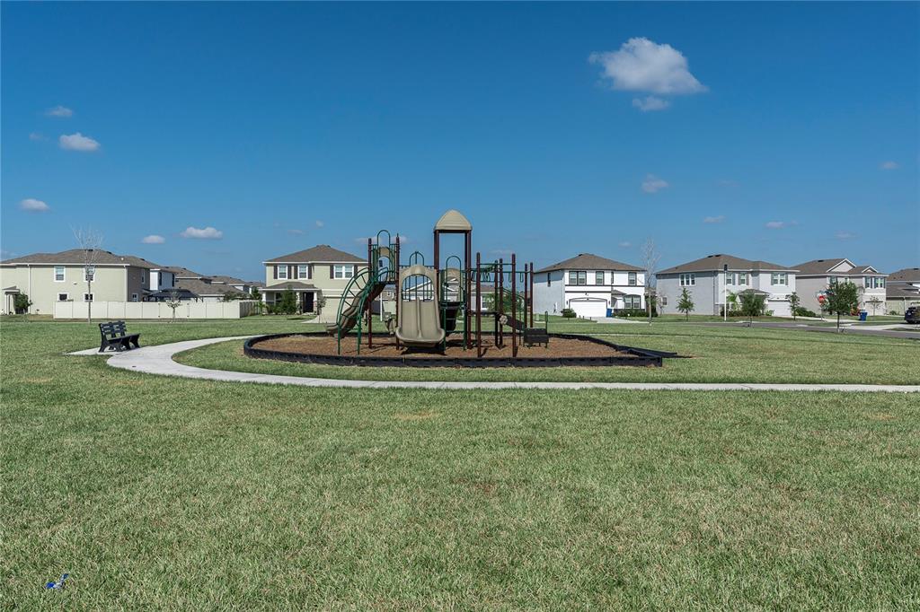 31130 Penny Surf Loop Wesley Chapel, FL 33545 - Photo 30 of 42 a view of a house with a big yard