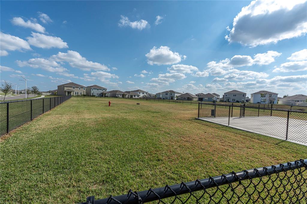 31130 Penny Surf Loop Wesley Chapel, FL 33545 - Photo 31 of 42 a view of a lake