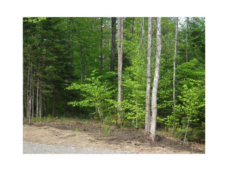 4 Spur Road Bethel, ME 04217 - Photo 1 of 3 Land.