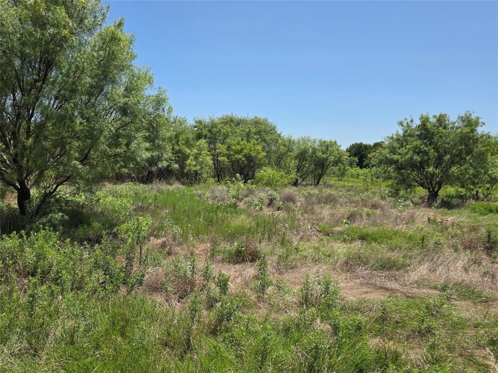 1000 County Road 375 Rising Star, TX 76471 - Photo 17 of 40