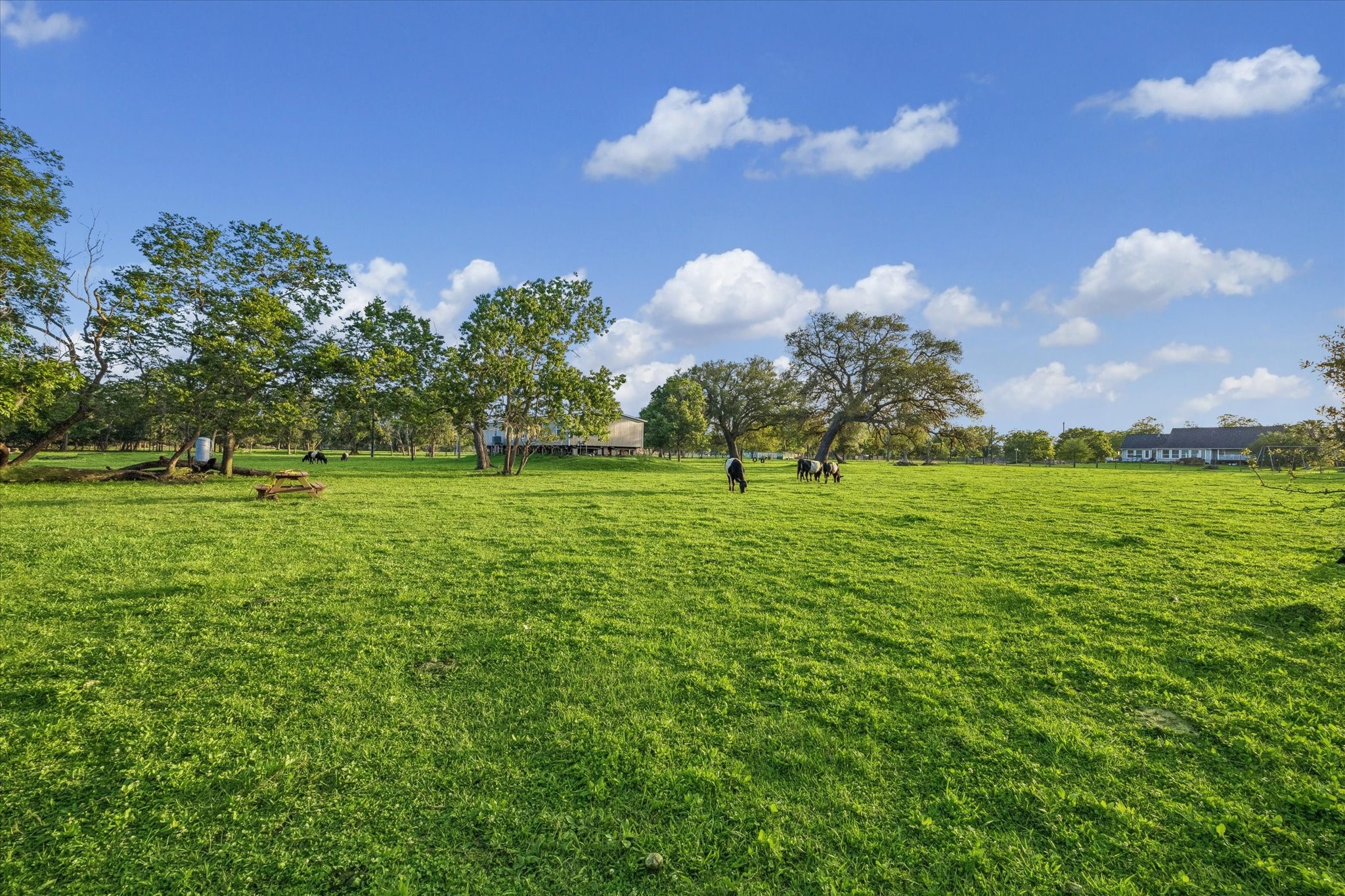 3515 County Road 36 Angleton, TX 77515 - Photo 46 of 50 a view of a golf course with a lake