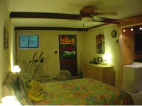 20 Cranberry Hill Road Winhall, VT 05340 - Photo 7 of 12 Gallery Image 7
