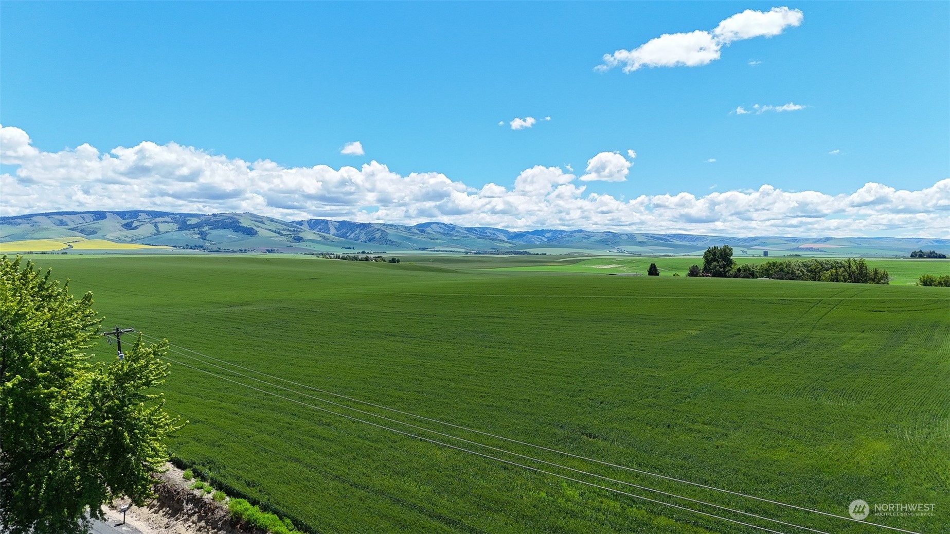 1809 Reser Road Walla Walla, WA 99362 - Photo 28 of 37 Gallery Image 28