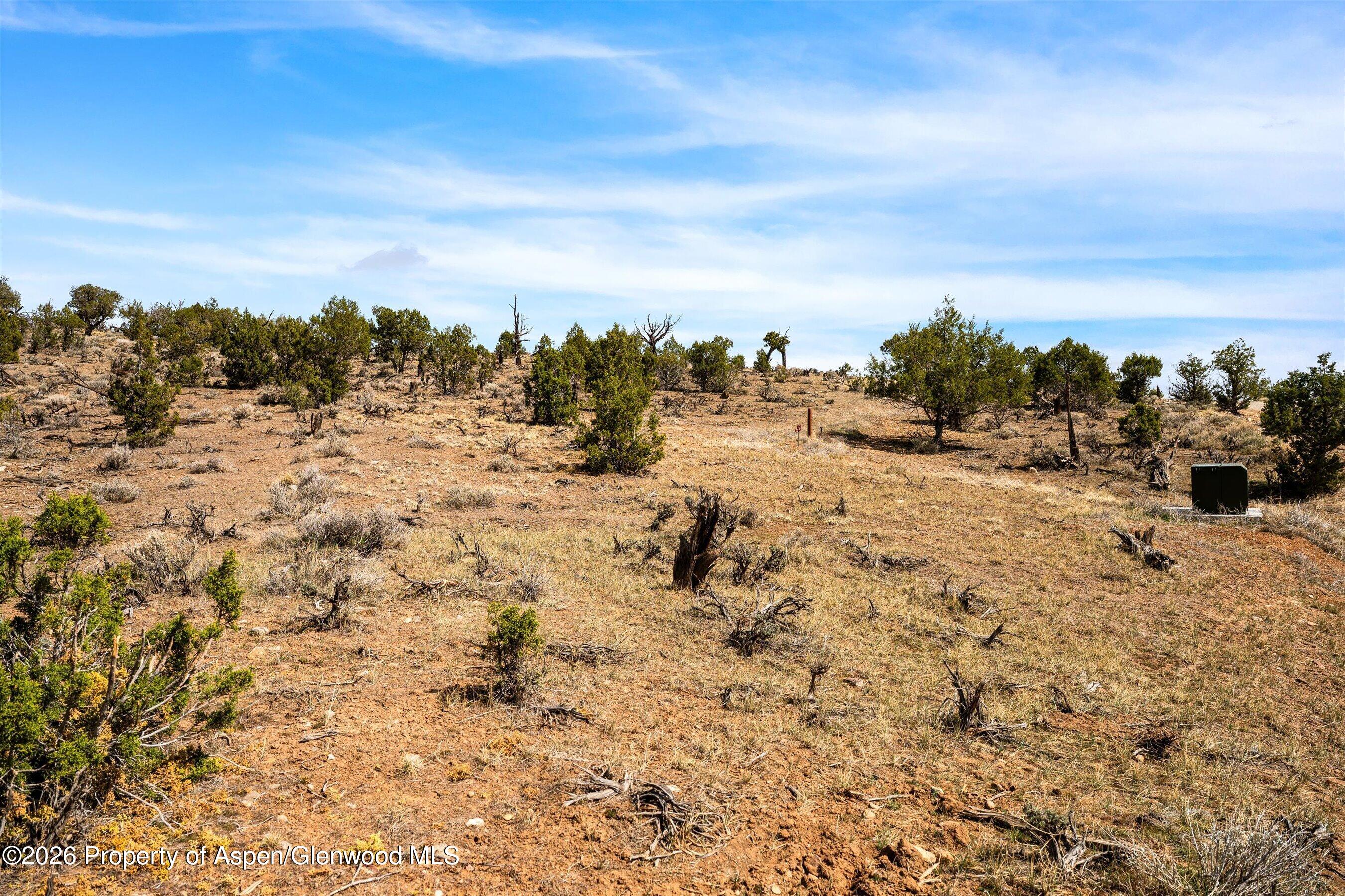 Tbd Seneca Drive Silt, CO 81652 - Photo 6 of 29 a view of a dry yard with trees