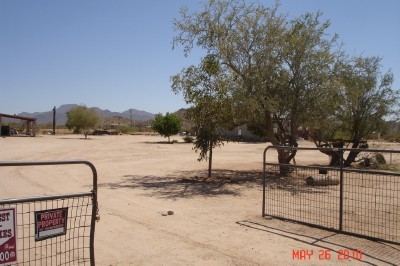 Looking South