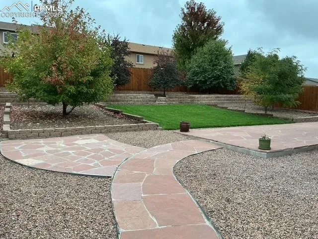 a view of a backyard