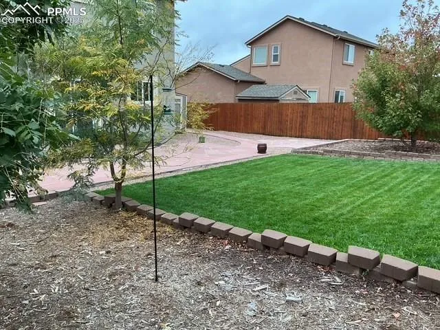 a view of backyard with a garden and plants